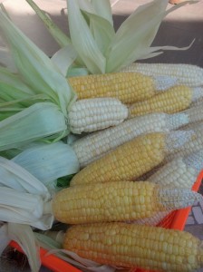 Corn July 4th 2013